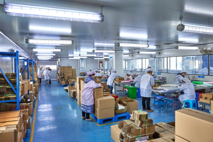 Inside a Full-Service Cosmetics OEM Manufacturer From Brief to Shipment